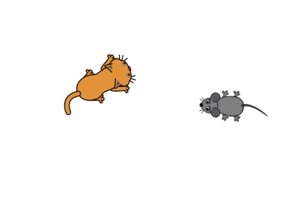 猫🐱与老鼠